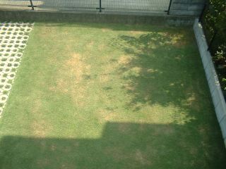 日照070923.2時半