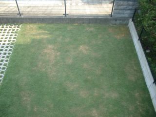 日照070923.3時半