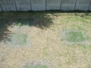 庭西080420