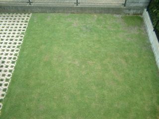 芝生070722