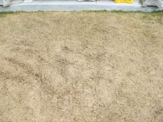 サッチング後北08039