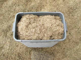 サッチかす080309.2