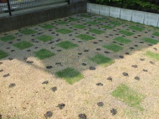 エアレーション080429