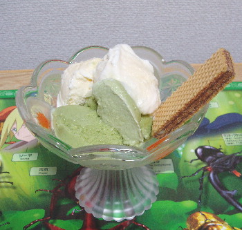 バニラと抹茶の手作りアイスクリ～ム♪