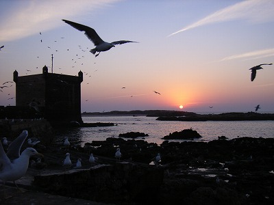 essaouira