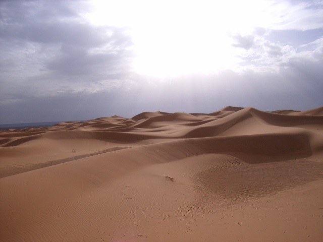 sahara