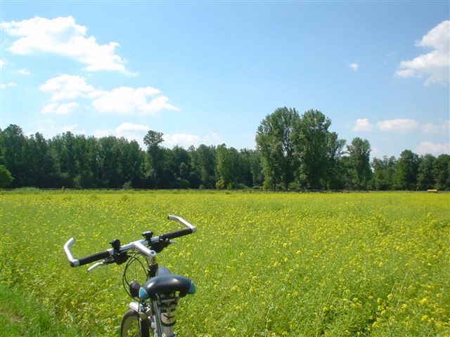 Bike Tour Erft 10.07.05