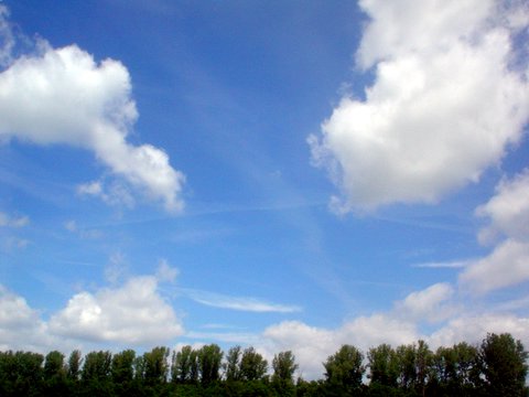 DSC02634.JPG
