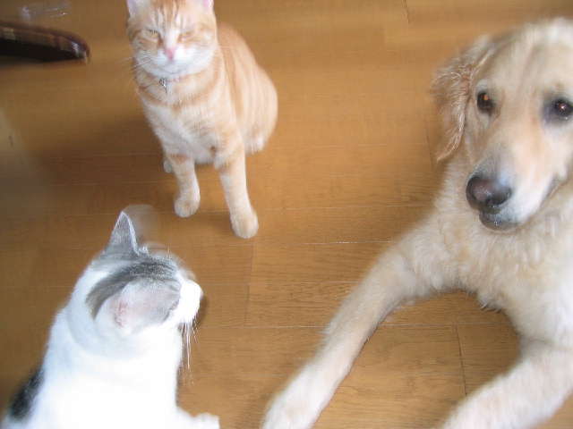 2005-12-19 03:16:58