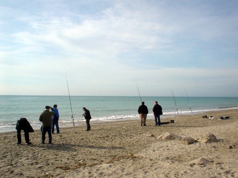DSC02166.JPG