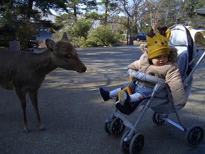 H18.1.29　奈良公園へ♪　(３)