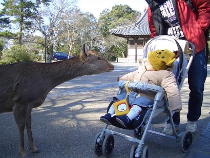 H18.1.29　奈良公園♪　(５)