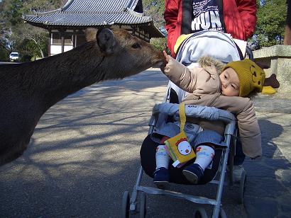 H18.1.29　奈良公園♪　(６)