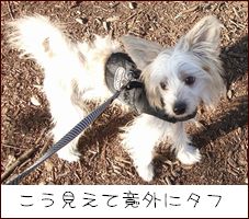 女同士団結しましょ