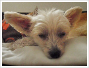 ラオちんと一緒