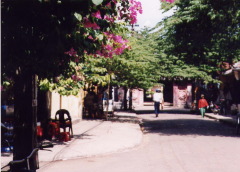 Hoi An view.jpg