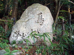 鳥地獄