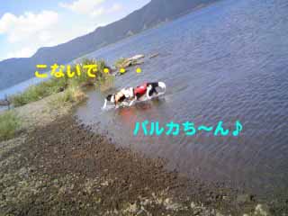 モー＆パルカ２.jpg