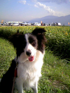 070819_161954.JPG
