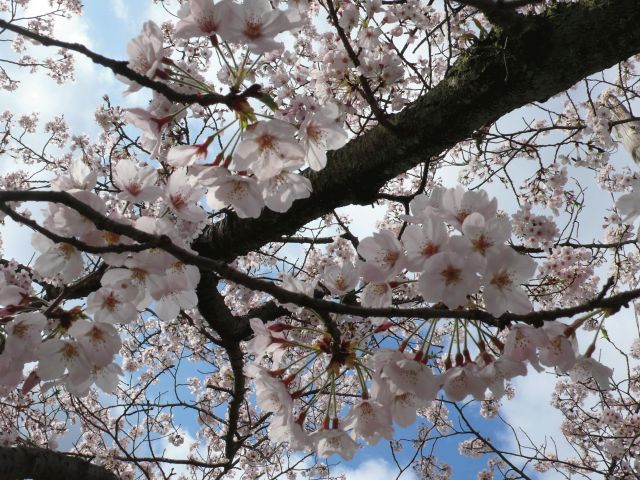 1211792_1183642972.jpg