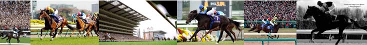 ★競馬の申し子★