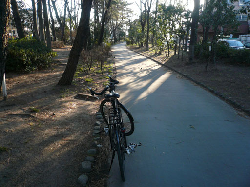 P1020990.JPG