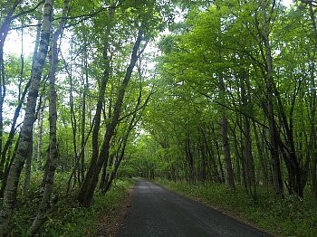 志津峠