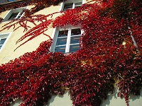 PICT0462.jpg