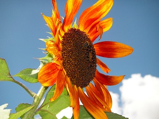 PICT0678.jpg