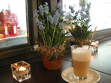 PICT0993.jpg