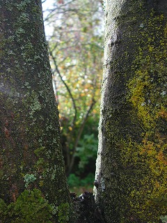 PICT0588.jpg