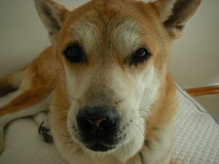 PICT0507.jpg