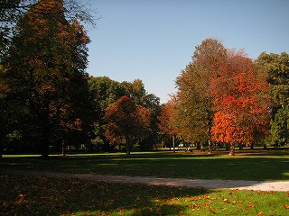 PICT0355.jpg