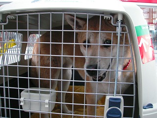 PICT0743.jpg