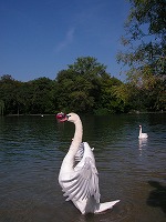 PICT0244.jpg