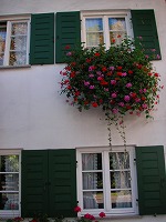 PICT0314.jpg