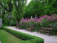 PICT0836.jpg