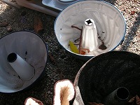 PICT0405.jpg