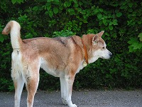 PICT0771.jpg