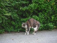 PICT0770.jpg