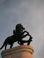 PICT0203.jpg