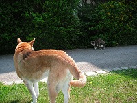 PICT0776.jpg