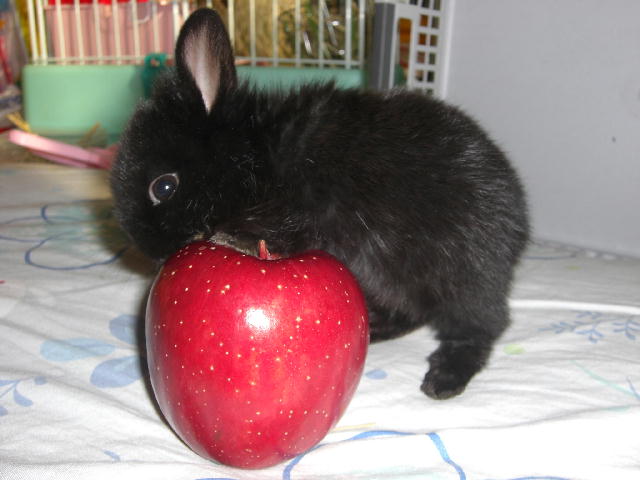 コピー ～ CIMG0846.JPG