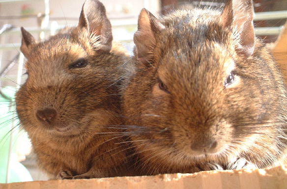 DSCF2476.JPG