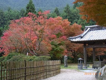 10.11.8雷山２.JPG