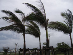 台風中継？