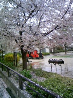 花散らしの雨