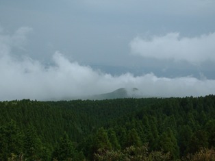 DSCF0011.JPG