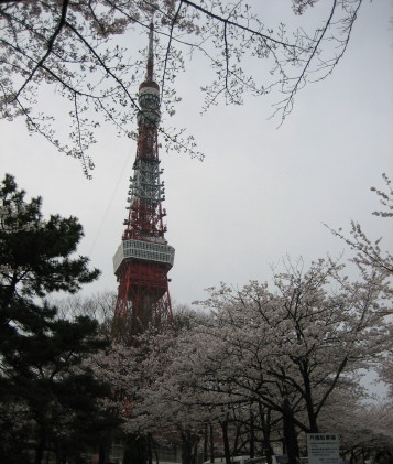 東京タワー＆桜