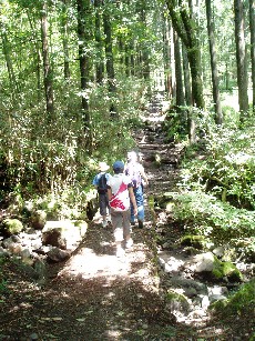 11:01 こんな登山道１ｓｔ